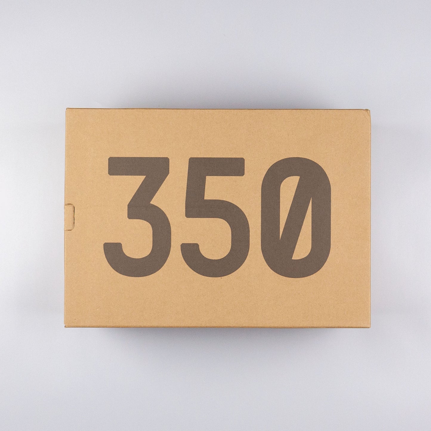 Adidas Yeezy Boost 350 v2 Linen FY5158 04